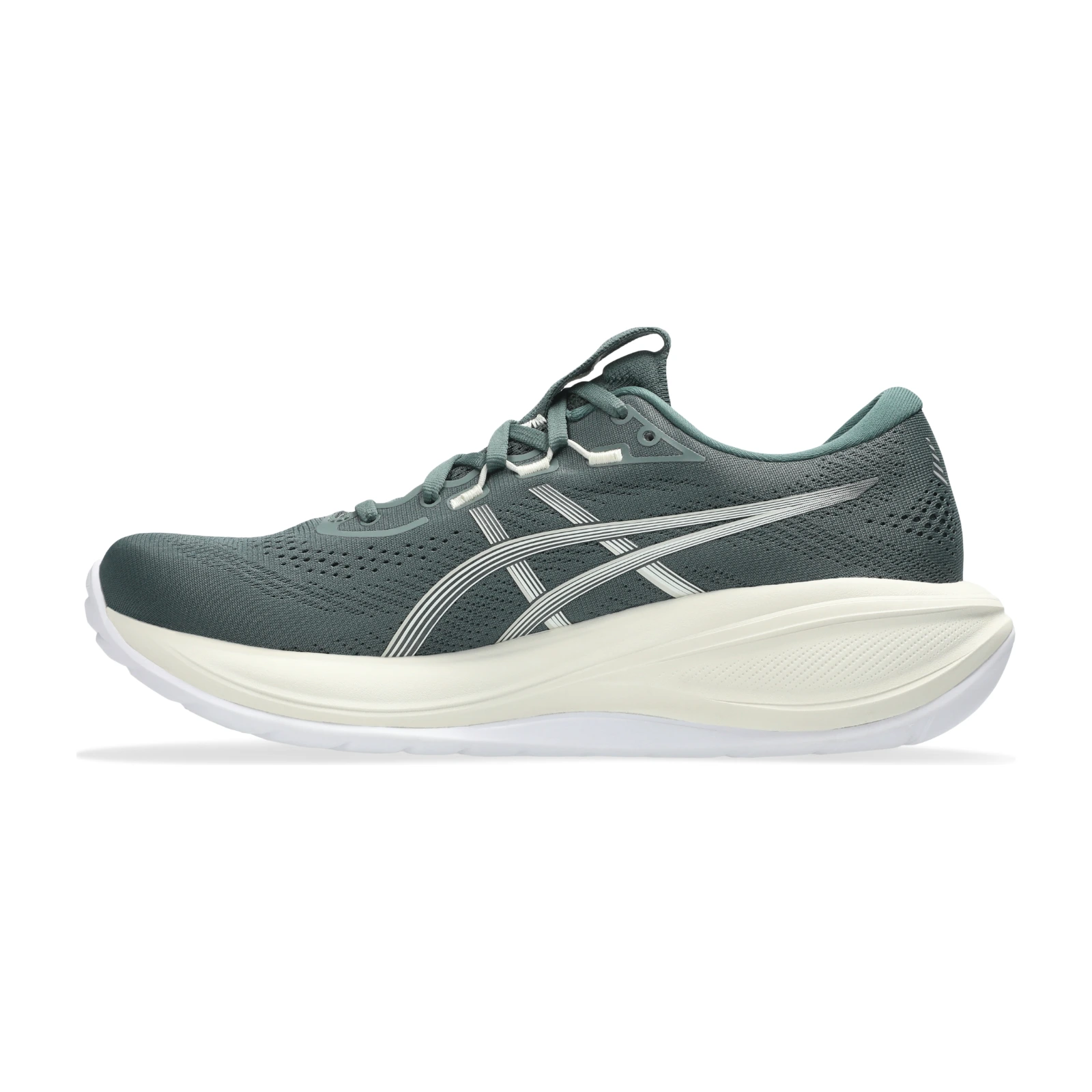ASICS Gel-Cumulus 28 - Dusty Fern ASICS Gel-Cumulus 28 - Dusty Fern